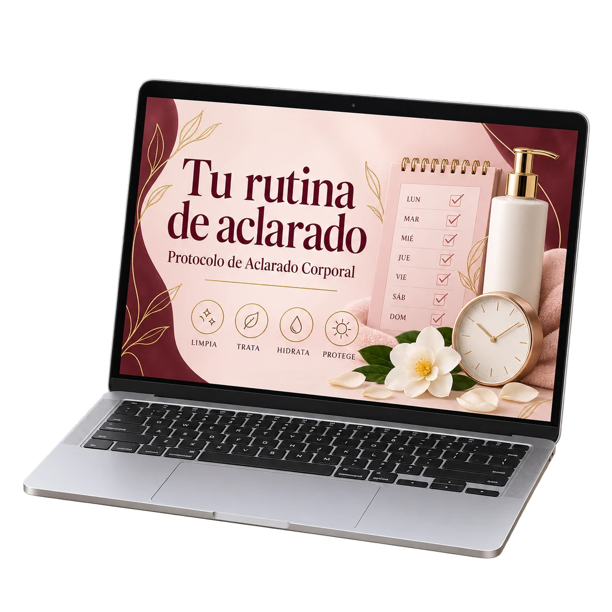 Organización del protocolo profesional